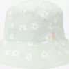 Volcom Chapeaux Et Bonnets Chapeaux Femme Vert Pastel -Magasin d'usine Volcom 780c77f61478652ec1a45609a5d67ba2