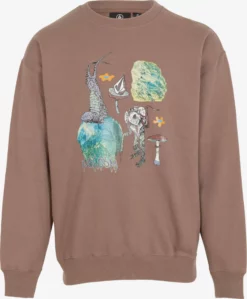 Volcom Sweatshirts Sweat-shirt Homme Marron